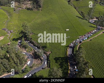 Eine Luftaufnahme einer kurvigen Straße, die durch Grüntee-Plantagen in Munnar, Indien, führt Stockfoto