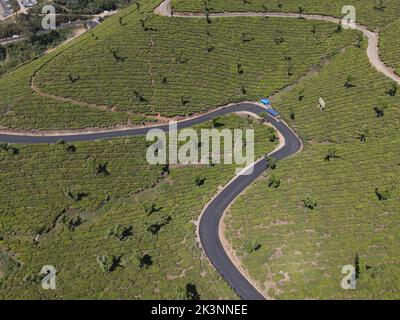 Eine Luftaufnahme einer kurvigen Straße, die durch Grüntee-Plantagen in Munnar, Indien, führt Stockfoto