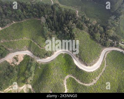 Eine Luftaufnahme einer kurvigen Straße, die durch Grüntee-Plantagen in Munnar, Indien, führt Stockfoto