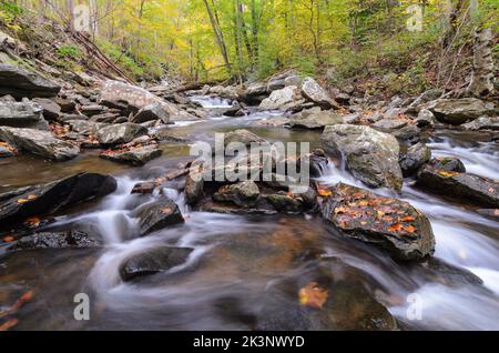 Wasserfälle im Big Hunting Creek außerhalb von Thurmont, Maryland im Catoctin Mountain Park Stockfoto