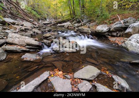 Wasserfälle im Big Hunting Creek außerhalb von Thurmont, Maryland im Catoctin Mountain Park Stockfoto