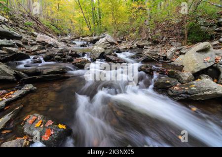 Wasserfälle im Big Hunting Creek außerhalb von Thurmont, Maryland im Catoctin Mountain Park Stockfoto