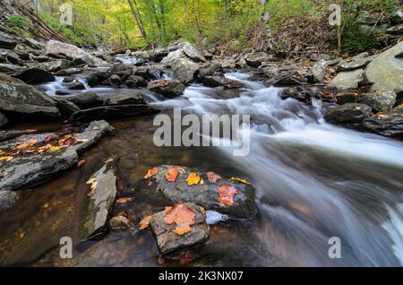 Wasserfälle im Big Hunting Creek außerhalb von Thurmont, Maryland im Catoctin Mountain Park Stockfoto