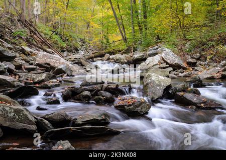 Wasserfälle im Big Hunting Creek außerhalb von Thurmont, Maryland im Catoctin Mountain Park Stockfoto