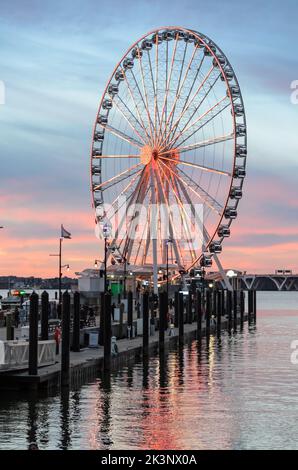 Sonnenuntergang über dem Riesenrad am National Harbor in Washington DC, USA Stockfoto
