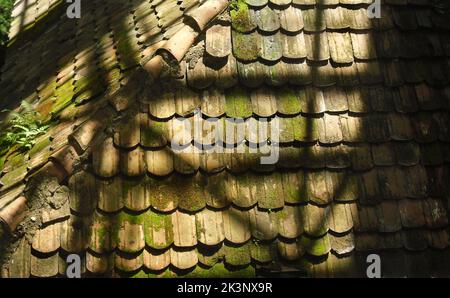 Nahaufnahme eines mit Moos bedeckten Daches Stockfoto