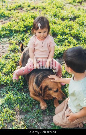 Junge streicheln den Hund, während seine kleine Schwester das Tier reitet und Spaß im Park am Wochenende hat. Die Pflege von Haustieren. Porträt von zwei Kindern und Stockfoto