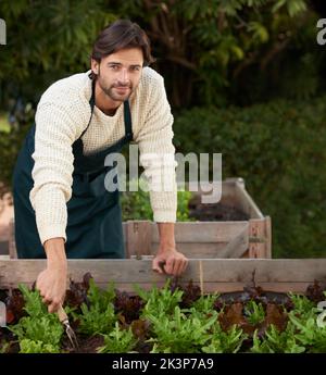 Das ist vielleicht Hobby und Leidenschaft. Porträt eines hübschen jungen Gärtners, der sich auf seine Pflanzenkästen stützt. Stockfoto