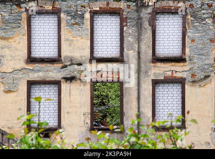 Wand einer verlassenen Fabrik mit einem Fenster, um das Innere zu sehen, in dem rostige Geräte und wild gewachsene Pflanzen zu sehen sind. Stockfoto