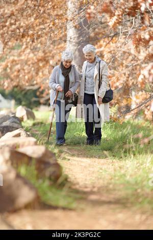 Genießen Sie die Herbstsaison. Zwei ältere Damen machen einen Spaziergang im Wald. Stockfoto