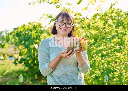 Lächelnde Frau hält ein paar rosa Trauben, Weinberg Hintergrund Stockfoto