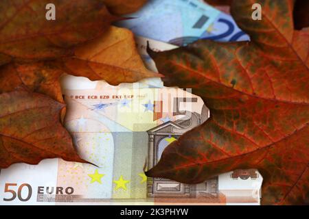 Euro-Banknoten, die mit roten und orangen Ahornblättern bedeckt sind. Wirtschaft Europas im Herbst, Wechselkurs Stockfoto