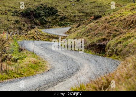 Auckland, Neuseeland - 28/09/2022, Ambiente während der Rallye Neuseeland 2022, 11. Runde der WRC World Rally Car Championship 2022, vom 29. September bis 2. Oktober 2022 in Auckland, Neuseeland - Foto Nikos Katikis / DPPI Stockfoto