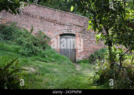 Eine alte Holztür in der Backsteinmauer des ummauerten Gartens in Painswick Abbey Gardens, Gloucestershire Stockfoto