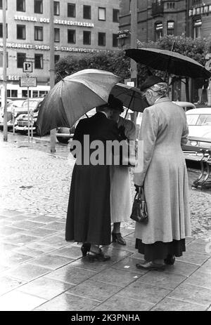 Schirme in der 1950s. Eine Gruppe älterer Frauen steht unter ihren Schirmen zusammen. Es ist ein regnerischer Tag in Stockholm Schweden 1953. ref 2A-1 Stockfoto