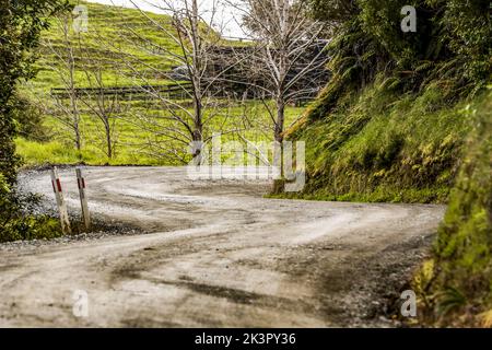 Auckland, Neuseeland - 28/09/2022, Ambiente während der Rallye Neuseeland 2022, 11. Runde der WRC World Rally Car Championship 2022, vom 29. September bis 2. Oktober 2022 in Auckland, Neuseeland - Foto: Nikos Katikis/DPPI/LiveMedia Stockfoto