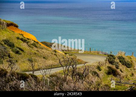 Auckland, Neuseeland - 28/09/2022, Ambiente während der Rallye Neuseeland 2022, 11. Runde der WRC World Rally Car Championship 2022, vom 29. September bis 2. Oktober 2022 in Auckland, Neuseeland - Foto: Nikos Katikis/DPPI/LiveMedia Stockfoto