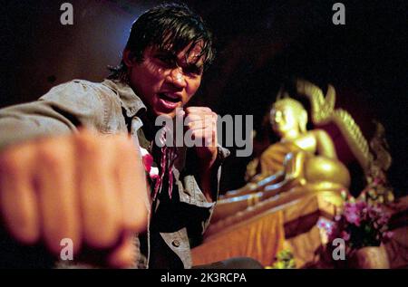 Tony Jaa Film: The Protector; Tom Yum Goong; Warrior King (THA/HK/USA 2005) Charaktere: Kham Regie: Prachya Pinkaew 11. August 2005 **WARNUNG** Dieses Foto ist nur für redaktionelle Zwecke bestimmt und unterliegt dem Copyright der FIRMA WEINSTEIN und/oder des Fotografen, der von der Film- oder Produktionsfirma beauftragt wurde, und kann nur durch Publikationen im Zusammenhang mit der Bewerbung des oben genannten Films reproduziert werden. Eine obligatorische Gutschrift an DIE FIRMA WEINSTEIN ist erforderlich. Der Fotograf sollte auch bei Bekanntwerden des Fotos gutgeschrieben werden. Ohne schriftliche Genehmigung der Film Company kann keine kommerzielle Nutzung gewährt werden. Stockfoto