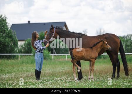 Junge Frau, die mit ihren Pferden auf dem Feld steht Stockfoto