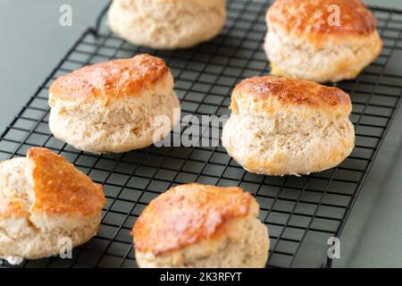 Sechs frisch gebackene traditionelle Scones kühlen auf einem Drahtgestell, das gerade aus dem Ofen genommen wurde. Die leckeren Kuchen-Leckereien sind gut aufgegangen Stockfoto