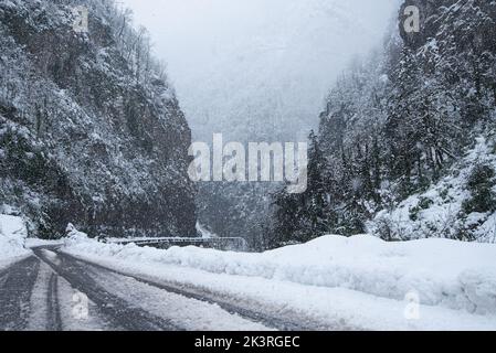 Straße im Wald mit bedecktem Schnee. Winterzeit. Landschaft. Schneebedeckte Bergwaldstraße Stockfoto