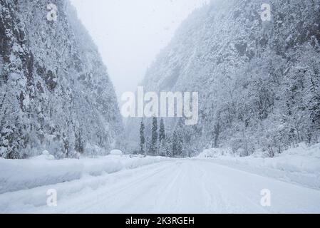 Straße im Wald mit bedecktem Schnee. Winterzeit. Landschaft. Schneebedeckte Bergwaldstraße Stockfoto