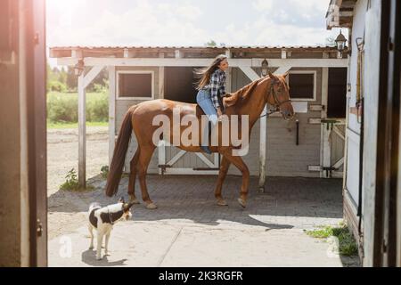 Frau, die auf einem Bauernhof zu Pferd reitet Stockfoto