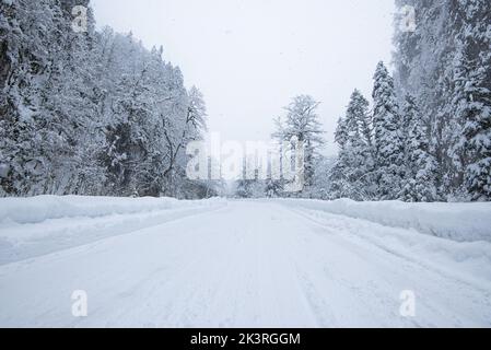 Straße im Wald mit bedecktem Schnee. Winterzeit. Landschaft. Schneebedeckte Bergwaldstraße Stockfoto