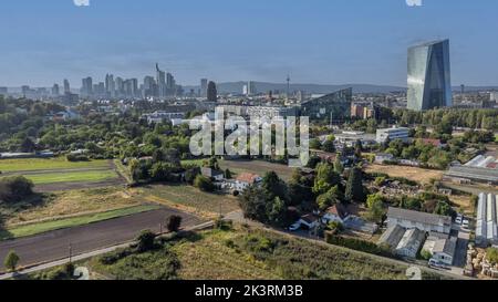 Blick auf die Skyline von frankfurt am Main von den Feldern des Stadtteils oberrad Stockfoto