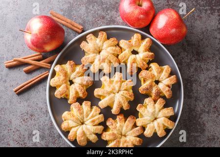 Dessertblume Apfelringe in Blätterteig mit Zucker und Zimt Nahaufnahme in einem Teller auf dem Tisch. Horizontale Draufsicht von oben Stockfoto