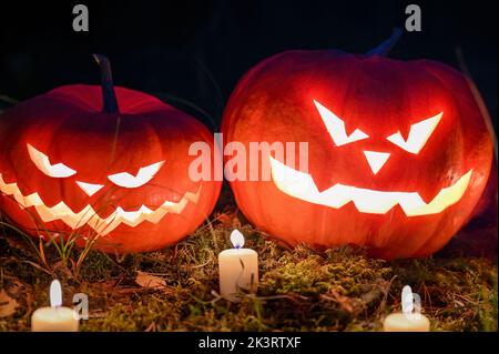 Gruselige Jack o Laternen im gruseligen Wald mit Geisterlichtern. Kürbiskopf für halloween mit brennenden Kerzen. Stockfoto