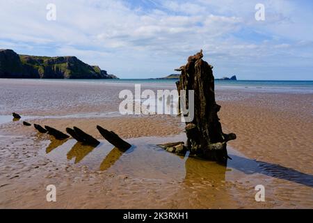 Letzte verbliebene Eichenhölzer des Segelschiffs Helvetica wurden bei Ebbe am Strand von Rhossili enthüllt. Stockfoto