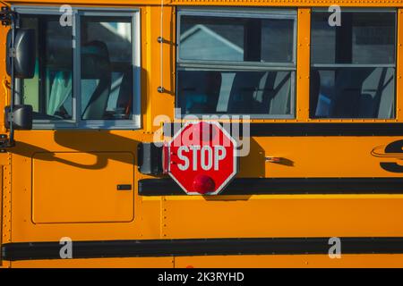 Nahaufnahme eines Octagon geformten roten Stoppschild mit Signal leuchtet auf einem School Bus Stockfoto