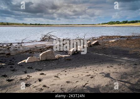 Rückläufige Küstenlinie durch sinkende Wasserstände während schwerer Trockenheit im Colliford Lake Reservoir auf Bodmin Moor in Cornwall im Vereinigten Königreich. Stockfoto