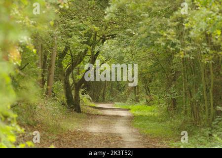 Sustrans Lias Line Rad-, Wander- und Reitroute in Warwickshire Stockfoto