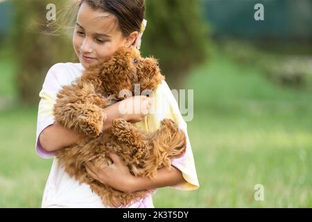 Kleiner Hund mit Besitzer verbringen einen Tag im Park spielen und Spaß haben. Stockfoto