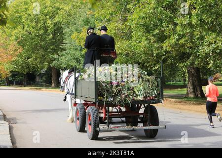 London, Großbritannien. 28.. September 2022. Die geblümten Tribute für die Königin werden aus dem Green Park geräumt und in Karren mit 2 Shire-Pferden platziert. Sie werden durch den Hyde Park zum Leaf Pen in Kensington Gardens gebracht, wo sie kompostiert werden. Quelle: Monica Wells/Alamy Live News Stockfoto