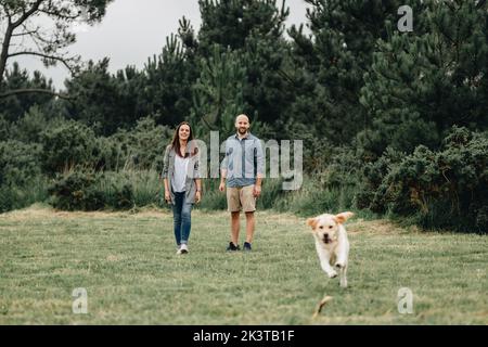 Paar Mann und Frau Training liebenswert aktiven Labrador Retriever werfen einen Stock Stockfoto