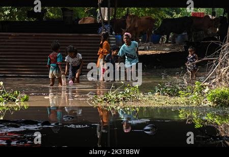 Neu-Delhi, Delhi, Indien. 28. September 2022. Kinder spielen im Wasser an den überfluteten Ufern des Yamuna-Flusses in Neu-Delhi. Die Ufer des Flusses Yamuna wurden aufgrund der starken Regenfälle in Neu-Delhi überflutet. (Bild: © Kabir Jhangiani/ZUMA Press Wire) Stockfoto