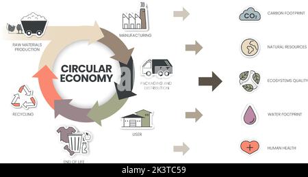 Die Infografik „Circular Economy“ umfasst 6 Schritte zur Analyse, wie Herstellung, Verpackung und Vertrieb, Benutzer, Lebensende, Recycling und rohe ma Stock Vektor