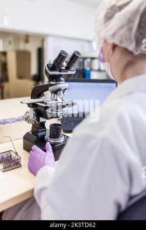 Rückansicht einer anonymen Wissenschaftlerin, die durch das Mikroskop im Labor schaute Stockfoto