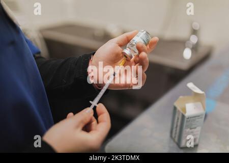 COP Ansicht von professionellen Tierarzt Frau Arzt hält Spritze Stockfoto