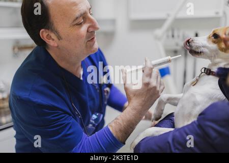 Seitenansicht von Pflanzenärzten in Uniform halten Hund und Gießen Medikament aus Spritze in den Mund im medizinischen Raum Stockfoto