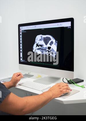 Eine nicht erkennbare Person am Computer, die in einem Labor eines modernen Krankenhauses Röntgenaufnahmen ansieht Stockfoto