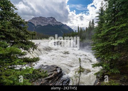 Athabasca Falls Wasserfall entlang des Icefields Parkway im Jasper National Park Canada Stockfoto