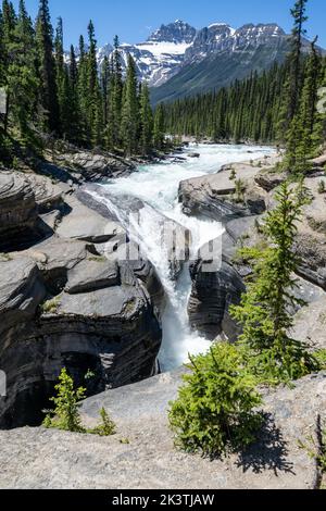 Mistaya Canyon im Jasper National Park entlang des Icefields Parkway Stockfoto