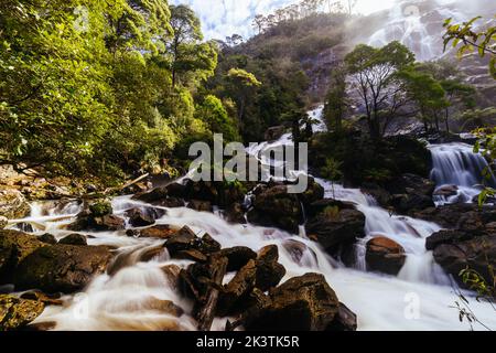 St. Columba Falls in Tasmanien, Australien Stockfoto