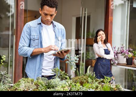 Lateinamerikanischer männlicher Arbeiter, der die Pflanzen in der Baumschule inventarisiert Stockfoto