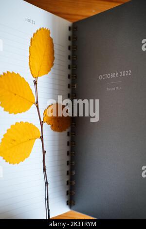Oktober 2022 Planseite im offenen Notizbuch Organizer Kalender mit trockenen Herbstblättern. Herbstplanung und Zeitplan für Oktober. Selektiver Fokus Stockfoto