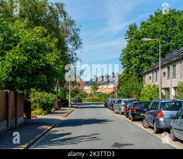 Straße in einem Wohngebiet in den Niederlanden Stockfoto